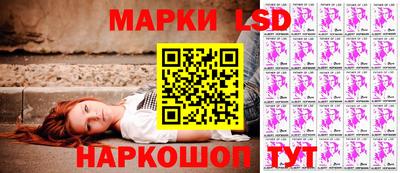 шишки Тверь