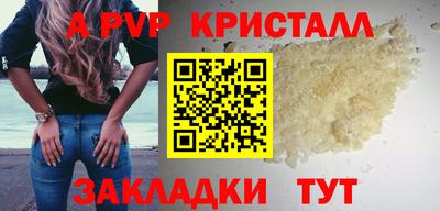 шишки Тверь