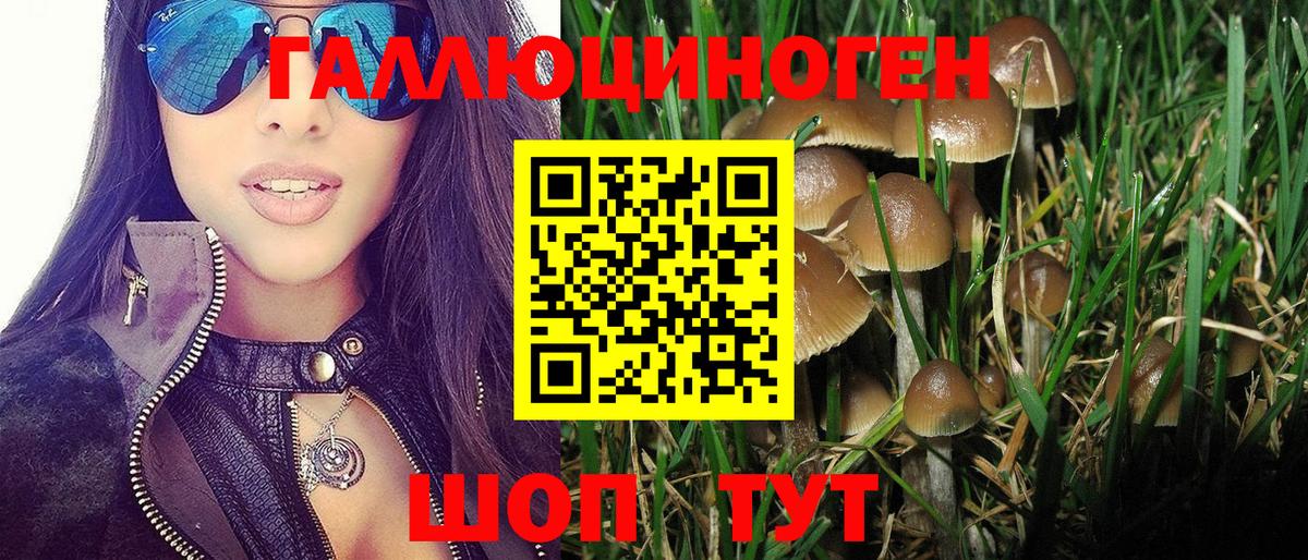 Галлюциногенные грибы GOLDEN TEACHER  Вход с VPN  закладки  Минеральные Воды 
