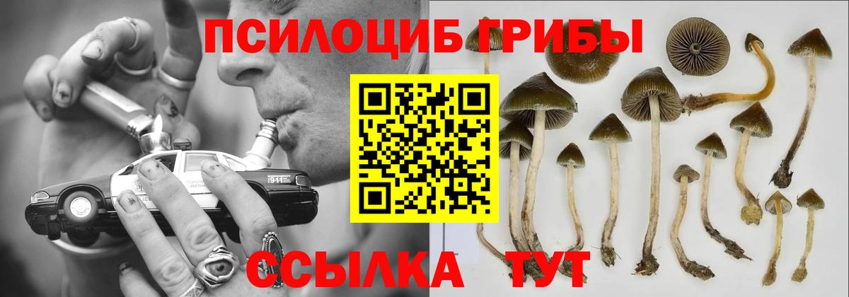 Галлюциногенные грибы мицелий Минеральные Воды
